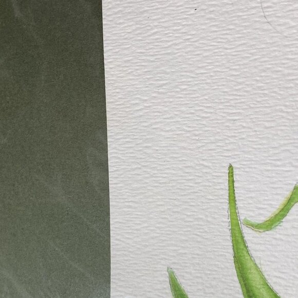 Original Watercolor Painting Fritillaria Botanical Flower Signed B Westbrook 90s - Picture 11 of 11